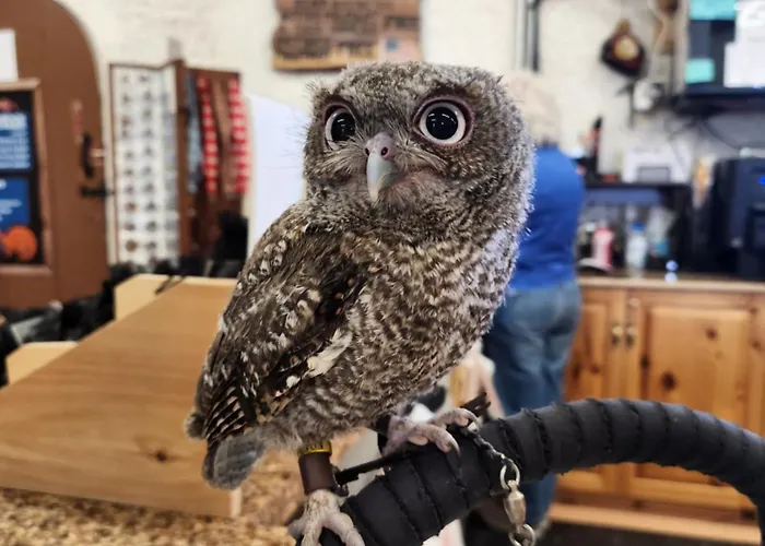 Raptor Ranch Camping